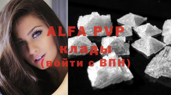 винт Алзамай