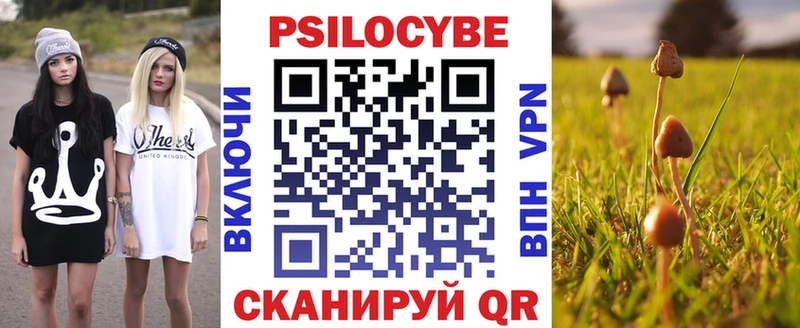 Псилоцибиновые грибы GOLDEN TEACHER  Орехово-Зуево 